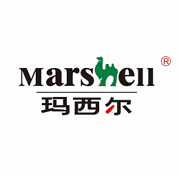 智环盛发合作客户-玛西尔电动车