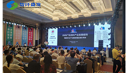 广东涂料产业发展